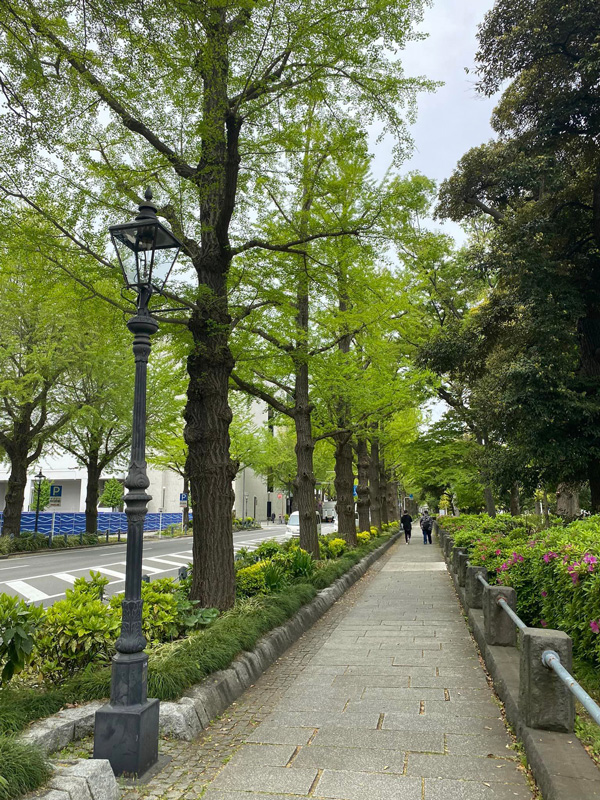 【ザ・ワーフハウス 山下公園】足湯ありBBQエリアあり