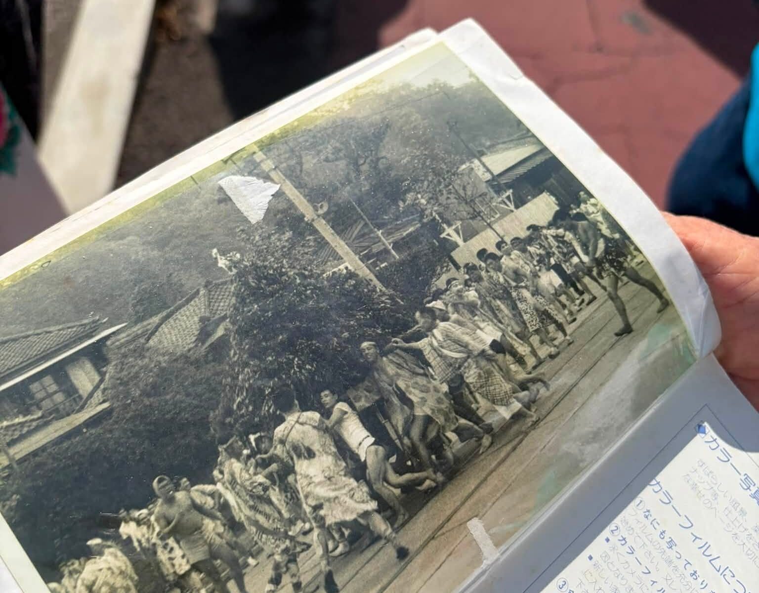 根岸の榊神輿